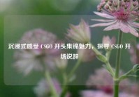 沉浸式感受 CSGO 开头集锦魅力，探寻 CSGO 开场说辞