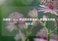出国后，Steam 开启游戏新体验，微信能否转账引关注