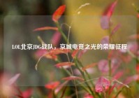 LOL北京JDG战队，京城电竞之光的荣耀征程