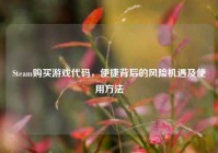 Steam购买游戏代码，便捷背后的风险机遇及使用方法