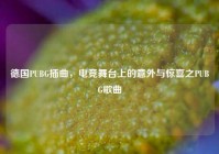 德国PUBG插曲，电竞舞台上的意外与惊喜之PUBG歌曲