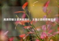 高清荣耀王者满星图片，王者之路的荣耀见证