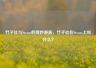 竹子社与Steam的奇妙邂逅，竹子社在Steam上叫什么？
