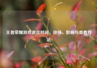 王者荣耀游戏退出时间，抉择、影响与查看方法