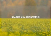 深入剖析 CSGO 中的完美概念