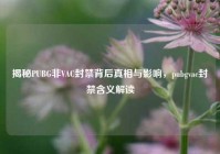 揭秘PUBG非VAC封禁背后真相与影响，pubgvac封禁含义解读