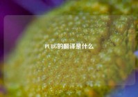 PUBG的翻译是什么
