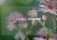 Steam中Apex启动全攻略