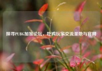 探寻PUBG加加论坛，吃鸡玩家交流圣地与官网