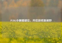 PUBG小眼睛键位，开启游戏新视野