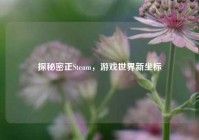 探秘密正Steam，游戏世界新坐标