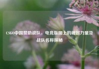 CSGO中国赞助战队，电竞版图上的崛起力量及战队名称探秘