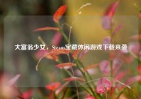 大富翁少女，Steam宝藏休闲游戏下载来袭