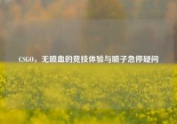 CSGO，无喷血的竞技体验与喷子急停疑问