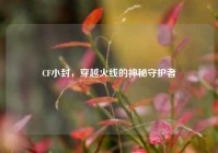 CF小封，穿越火线的神秘守护者