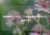 探秘轴承CF 24VUUR，工业隐形英雄及型号尺寸查询大全
