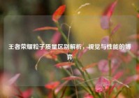 王者荣耀粒子质量区别解析，视觉与性能的博弈