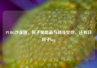 PUBG沙漠图，房子里隐蔽与战斗交织，还有白房子bug