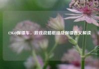 CSGO保镖车，游戏战略枢纽及保镖含义解读