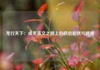 龙行天下：成龙英文之路上的跌宕起伏与跨越