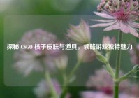 探秘 CSGO 核子皮肤与道具，领略游戏独特魅力