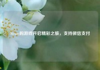Steam购游戏开启精彩之旅，支持微信支付
