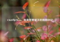 CSGO与CWsen，电竞世界留下的独特印记