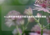 Steam游戏最快退款攻略及退款大概条件揭秘