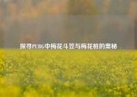 探寻PUBG中梅花斗笠与梅花桩的奥秘