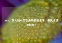 CSGO，别人的M4与变身动物的名字，是执念还是风景？