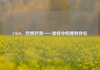 CSGO，巴西巴哥——游戏中的独特存在