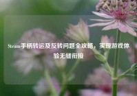Steam手柄转运及反转问题全攻略，实现游戏体验无缝衔接