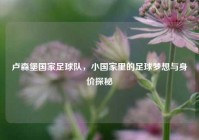 卢森堡国家足球队，小国家里的足球梦想与身价探秘