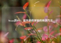 Steam改DNS，提升游戏体验的有效方法