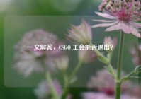 一文解答，CSGO 工会能否退出？