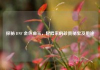 探秘 DNF 金色曲玉，冒险家的珍贵秘宝及用途