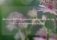 How to say DNFYY, the wonderful supply station in the southeast of Arad Continent in English?