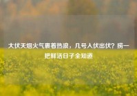 大伏天烟火气裹着热浪，几号入伏出伏？捞一把鲜活日子全知道