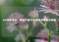 DNF净化圣水，神秘力量守护者及获取途径揭秘