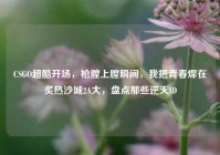 CSGO超酷开场，枪膛上膛瞬间，我把青春焊在炙热沙城2A大，盘点那些逆天ID