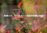 探秘CSGO，飞行指令——游戏中的魔法钥匙