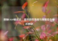 探秘CSGO输出法，提升游戏表现与掌握指令输出秘诀
