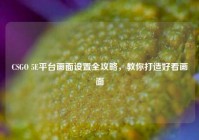 CSGO 5E平台画面设置全攻略，教你打造好看画面