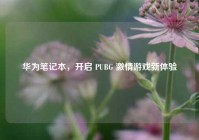 华为笔记本，开启 PUBG 激情游戏新体验