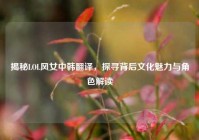 揭秘LOL风女中韩翻译，探寻背后文化魅力与角色解读