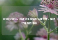 淘宝DNF外挂，游戏公平毒瘤与法律红线，辅助软件真假待辨