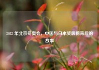 2022 年北京冬奥会，中国与日本奖牌榜背后的故事