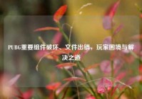 PUBG重要组件破坏、文件出错，玩家困境与解决之道