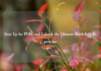 Gear Up for PUBG and Unleash the Ultimate Battlefield Experience