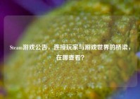 Steam游戏公告，连接玩家与游戏世界的桥梁，在哪查看？